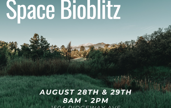 stratton open space bio blitz Aug 28-29 at 1504 ridgeway wave. Join us for a family friendly guided hikes, educational activities and the opportunity to work with scientists. 